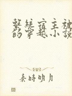 系统宿主被浇灌的穿越小说