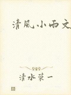 清风小雨文学网