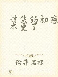 消失的初恋为啥不更了