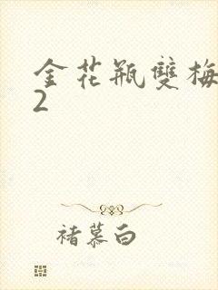 金花瓶双梅花12