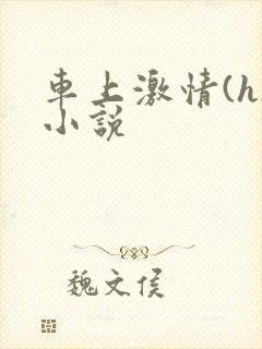 车上激情(h)小说