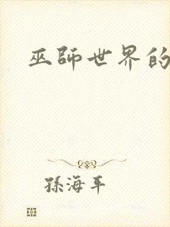 巫师世界的法师