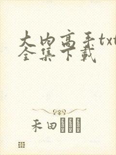 大内高手txt全集下载