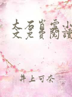 大石肖雪小说全文免费阅读