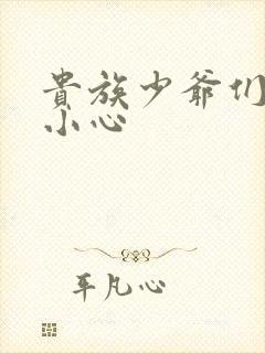 贵族少爷们 请小心