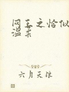 网王之恰似你的温柔