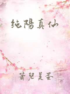 纯阳真仙