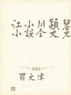 江小川颖儿穿越小说全文免费阅读