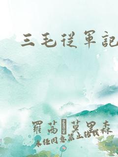 三毛从军记下载