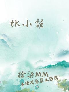 tk小说