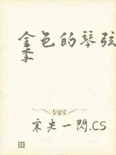 金色的琴弦第二季