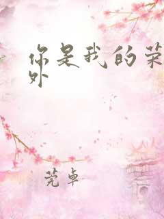 你是我的荣耀番外