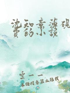 沈知意薄砚霆免费的小说