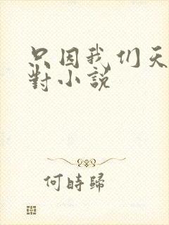 只因我们天生一对小说