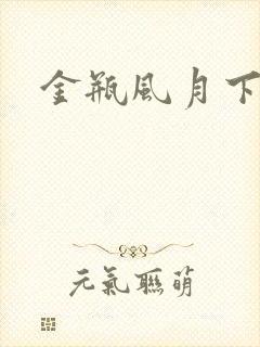 金瓶风月下载