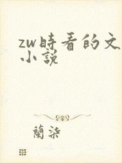 zw时看的文案小说