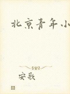 北京青年小说