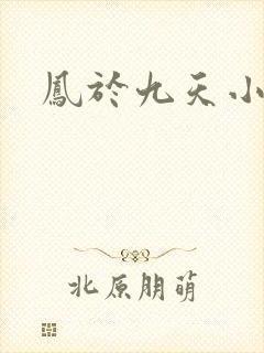 凤于九天小说