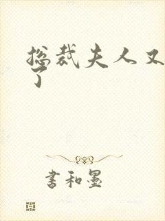 总裁夫人又征婚了