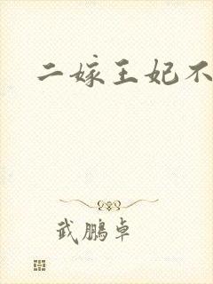 二嫁王妃不好惹