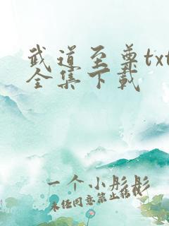 武道至尊txt全集下载