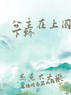 公主在上国师请下轿