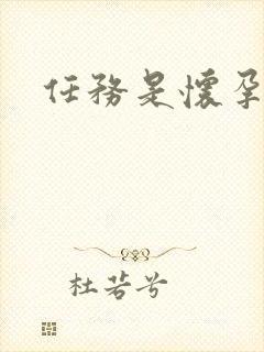 任务是怀孕系统