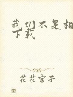 我们不是相爱吗下载