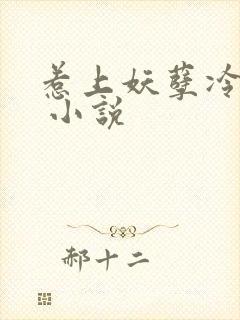 惹上妖孽冷殿下 小说