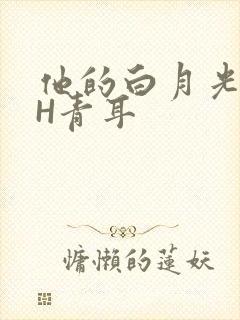 他的白月光HVH青耳