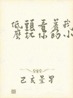 低头看着我是怎么玩你的小说