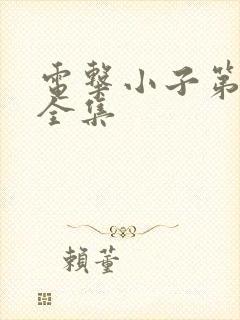 电击小子第二部全集