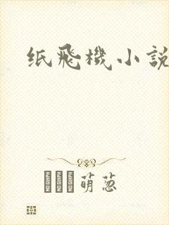纸飞机小说