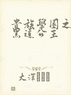 贵族学园之我的黑道公主