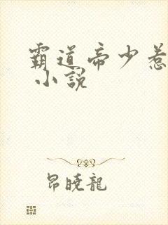 霸道帝少惹不得 小说