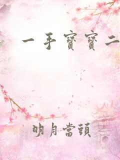 一手宝宝二手妻