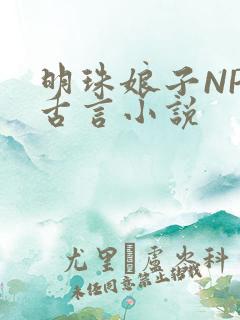 明珠娘子NPC古言小说