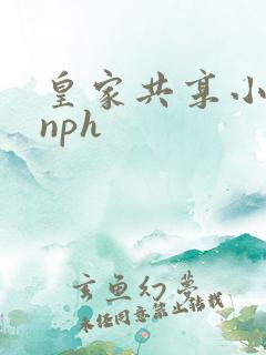 皇家共享小公主nph
