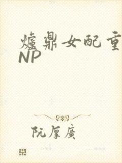 炉鼎女配重生之NP