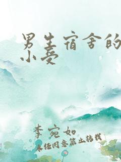 男生宿舍的公共小受