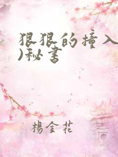 狠狠的撞入(h)秘书