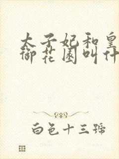 太子妃和皇帝在御花园叫什么小说