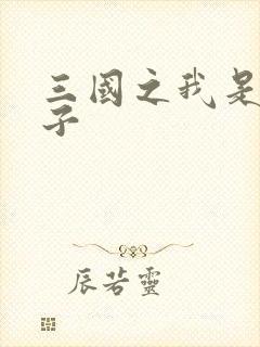 三国之我是皇太子