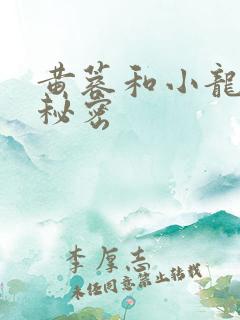 黄蓉和小龙女的秘密