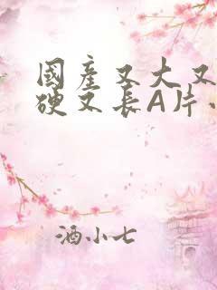 国产又大又粗又硬又长A片小说