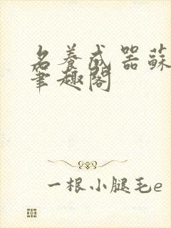 名养成器苏沫沫笔趣阁