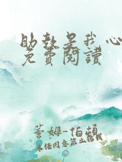 助教是我心尖宠免费阅读