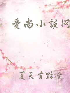 爱尚小说网