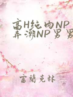 高H纯肉NP 弄潮NP男男