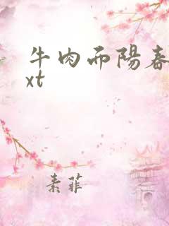 牛肉面阳春面txt